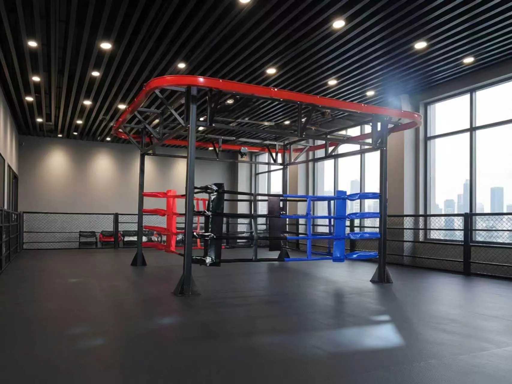 ¿Quieres combinar combate en ring, trabajo con sacos pesados ​​y entrenamiento físico funcional en un solo equipo?